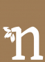 Njoy-nature Ulei Esential Pur Cedru Aromaterapie Cedar Wood Cedrus Deodara